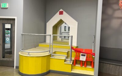 Project Successfully Completed